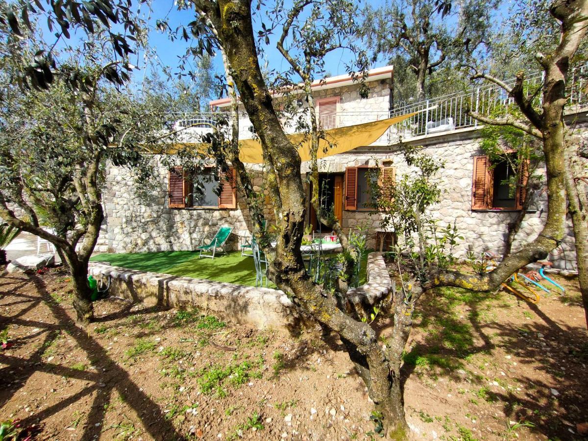 Cynara Holiday House ماسّا لوبْرينسِ المظهر الخارجي الصورة